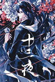 十三夜小说完整版
